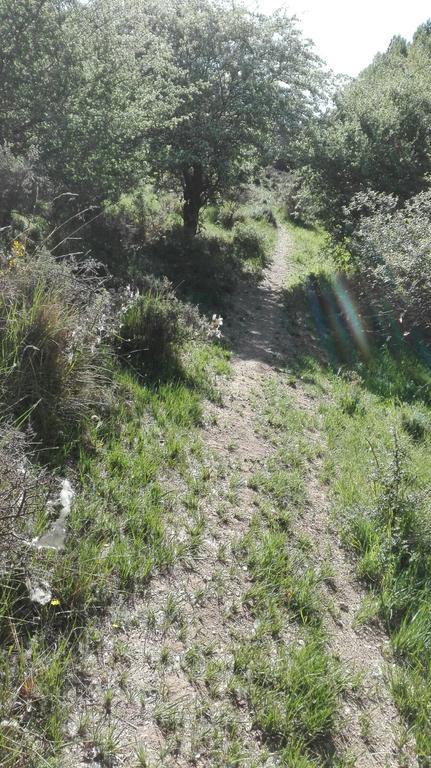 La Muralla Retortillo de Soria Exterior foto